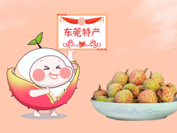 漫话437ccm必赢国际丨一颗有“故事”的荔枝！