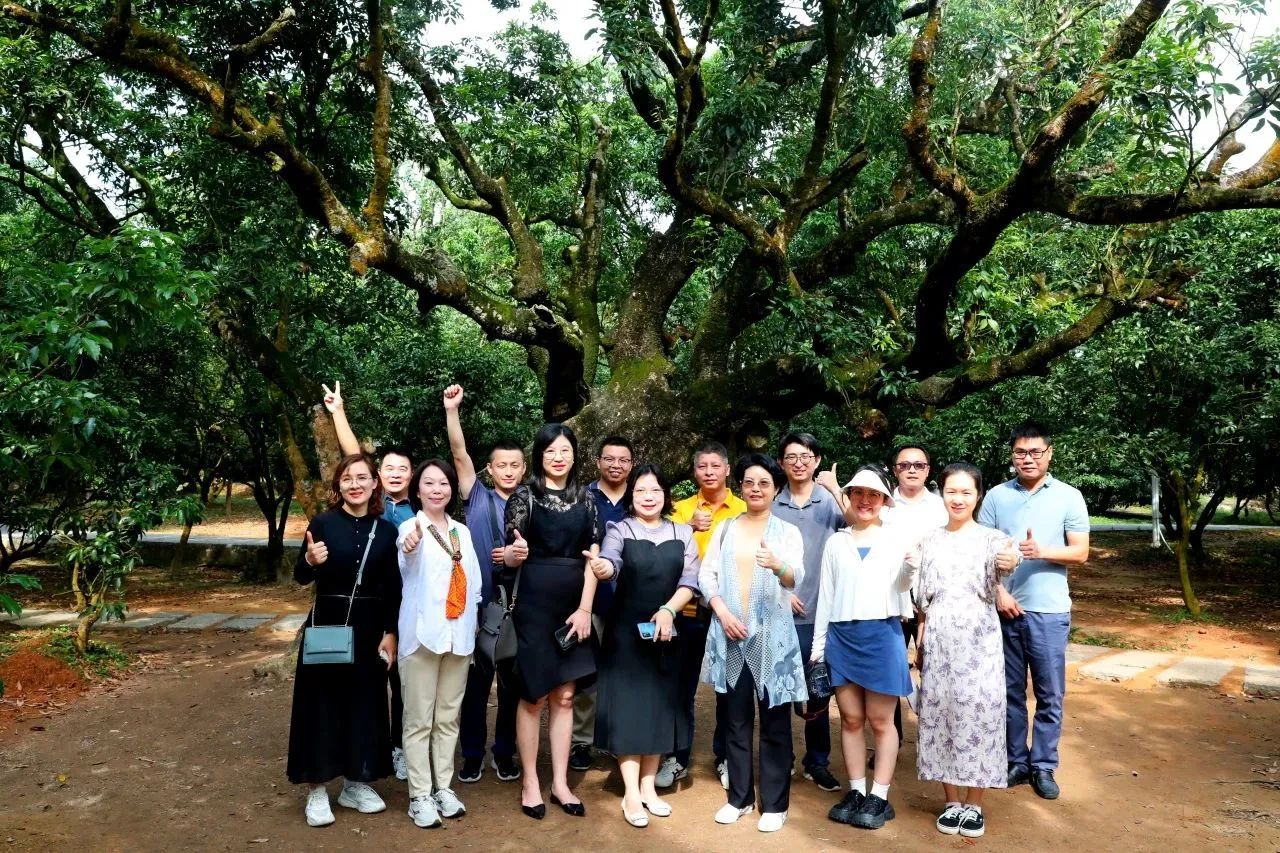437ccm必赢国际集团作为省领土空间生态修复协会轮值会长带队调研粤西全域土地综合整治事情