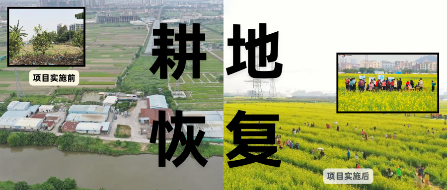 耕地；；；；；；び刖蒙す踩凇甘泻窠终蛩谏缜读继锵钅扛鼗指从氤窍缛诤系牧⒁焓导