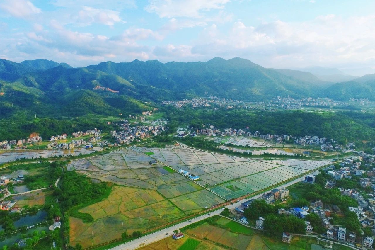 437ccm必赢国际集团丨“百万万工程”显实效：云浮罗定泗纶镇以全域土地综合整治为抓手，，，绘就墟落振兴新画卷