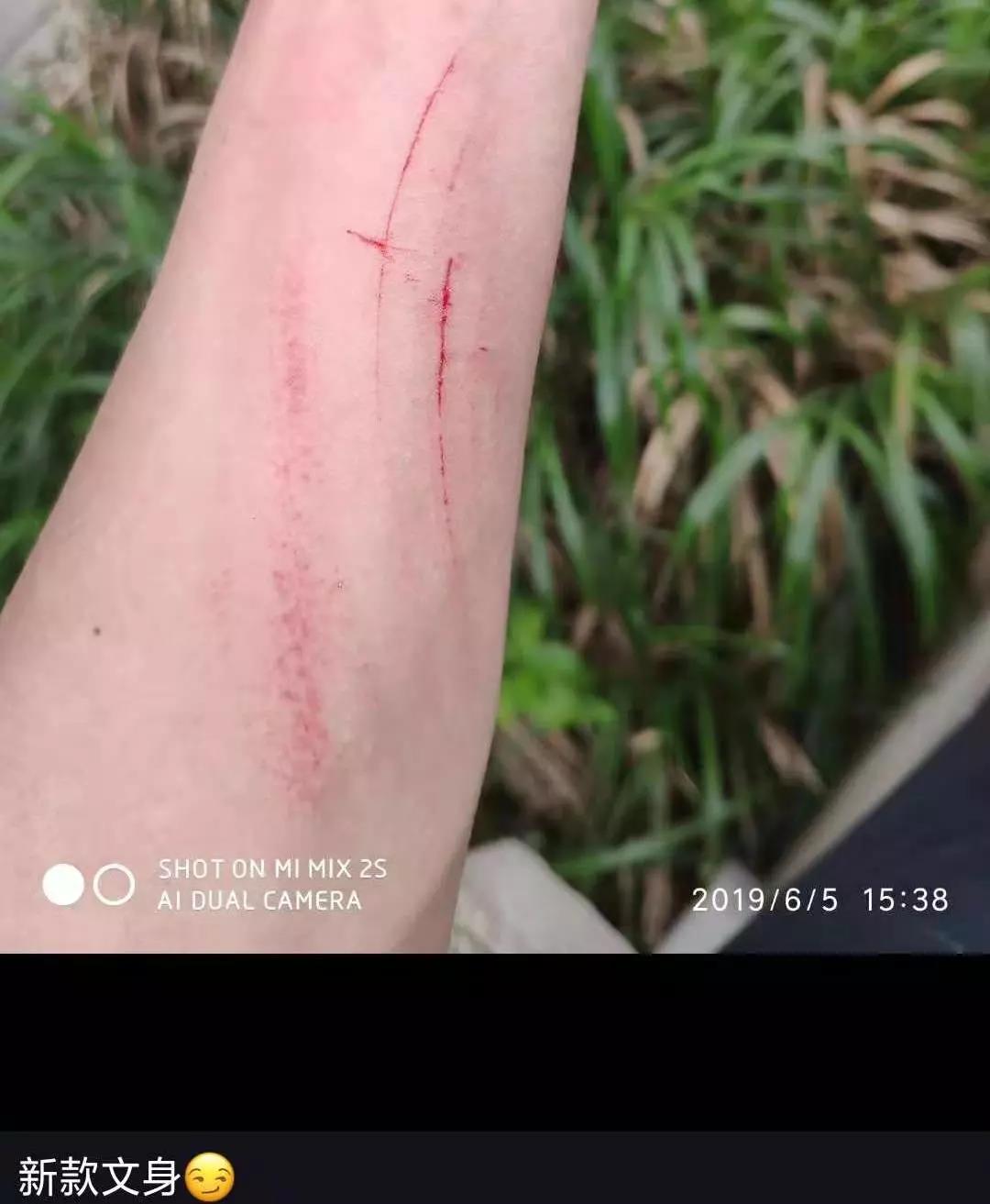 惠州三门岛项目纪实丨人生没有白走的路，，，，，，每一步都算数！-437ccm必赢国际控股集团