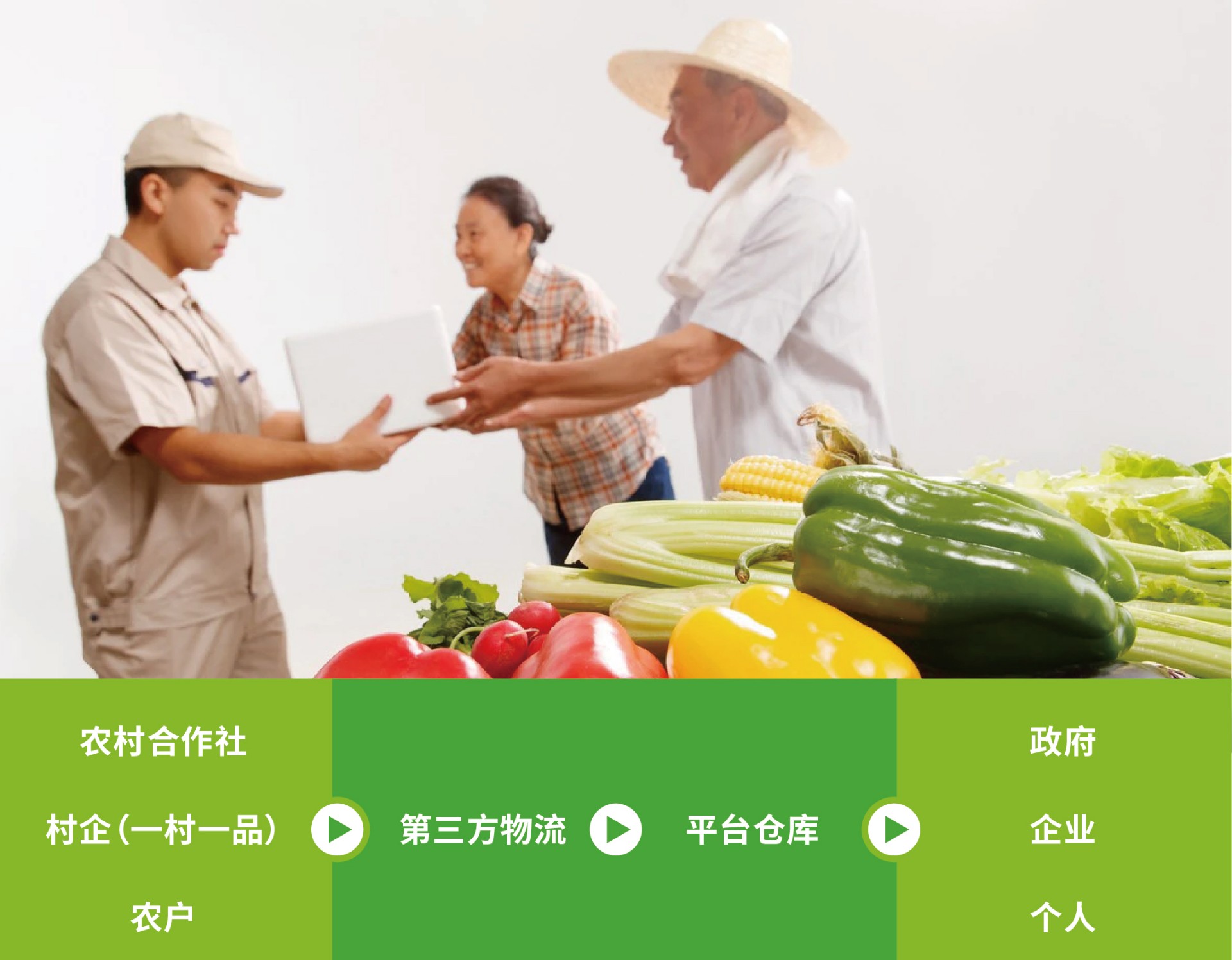 骞跨伯鍥炬枃浠嬬粛5.jpg